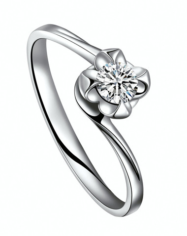 �ൺ����������